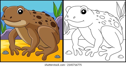 Cane Toad Frog Animal Coloring Page Illustration