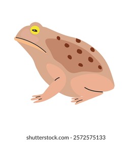 Cane toad icon clipart avatar logotype isolated illustration