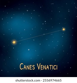 Canes venatici constellation in a starry night sky.