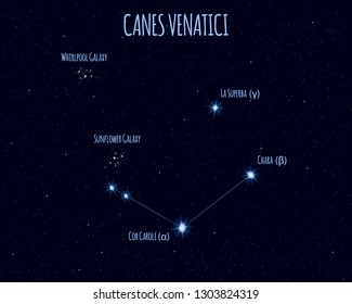Canes Venatici (The Hunting Dogs) constellation, vector illustration with the names of basic stars against the starry sky 