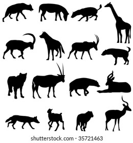 Canids and their prey
