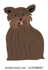 Canine animal, domestic pet, or lapdog. Portrait of small puppy with furry coat and funny muzzle. Pedigree breed, doggy living in an apartment. Hairy companion or friend. Vector in flat style
