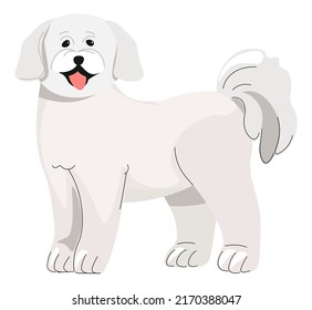 Canine Animal With Furry Coat, Isolated Poodle Puppy Wagging Tail Having A Playful Mood. Small Doggy Portrait, Friend Miniature Dog With Cute Muzzle. Pure Breed Of A Lapdog. Vector In Flat Style