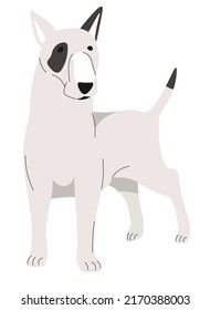 Canine animal, isolated portrait of bull terrier with a cute muzzle and strong muscular body structure. Dog or puppy, mammal purebred. Dangerous canine with short tasil. Vector in flat style