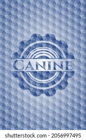 Canine blue polygonal badge. Vector Illustration. Detailed. 