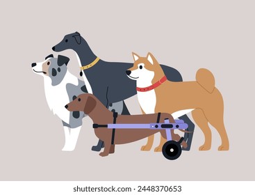 Canine Companions on a Playful Gathering at the dog park, Four diverse dogs stand together, one with moving disability, enjoying their camaraderie