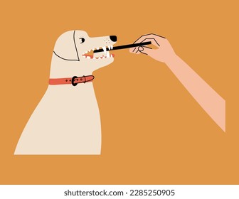 Canine dental care and hygiene. Labrador getting his teeth cleaned with a toothbrush. Vector illustration in hand drawn style