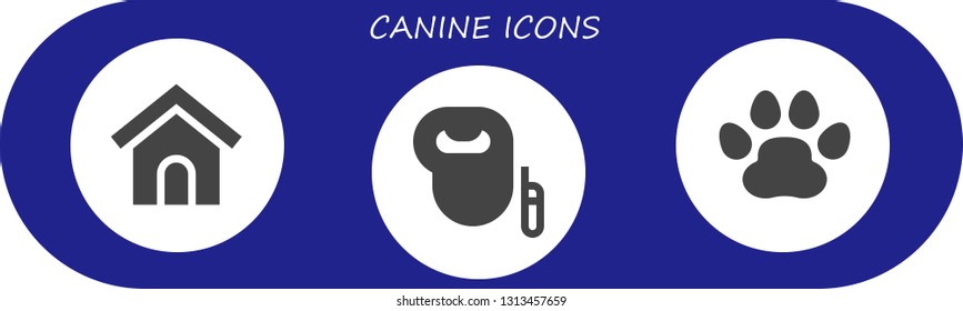 canine icon set. 3 filled canine icons.  Simple modern icons about  - Dog house, Leash dog, Pawprints
