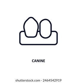 canine icon. Thin line canine icon from medical and healthcare collection. Outline vector isolated on white background. Editable canine symbol can be used web and mobile