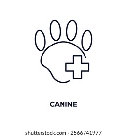 canine outline icon. Linear vector from medical concept. Thin line canine icon isolated on white background