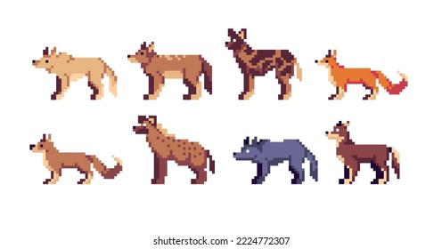 Conjunto de píxeles de especies caninas. Colección de zorros, lobos y perros salvajes. 8 bits. Desarrollo de juegos, aplicación móvil.  Ilustración vectorial aislada.