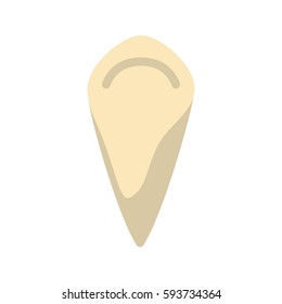 Canine Tooth