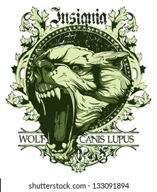 Canis lupus insignia