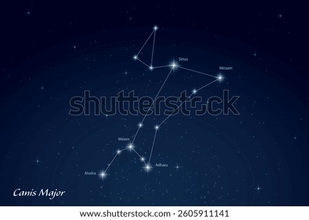 Canis Major constellation featuring labeled stars in a glowing, star filled night sky.