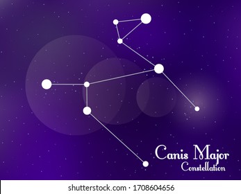 Canis Major constellation. Starry night sky. Cluster of stars, galaxy. Deep space. Vector illustration