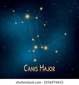 Canis major constellation in starry night sky: celestial map with bright stars.