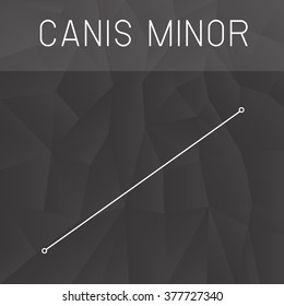 Canis Minor Constellation