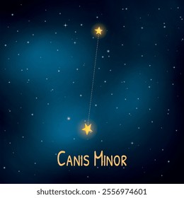 Canis minor constellation featuring bright stars in a starry night sky.