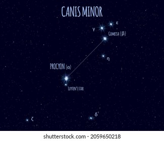 Canis Minor (The Lesser Dog) constellation, vector illustration with the names of basic stars against the starry sky