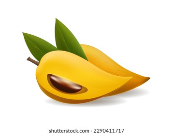 Canistel fruits realistic illustration. Pouteria campechiana cupcake fruit isolated on white background, eggfruit thailand raw dessert meal vector design