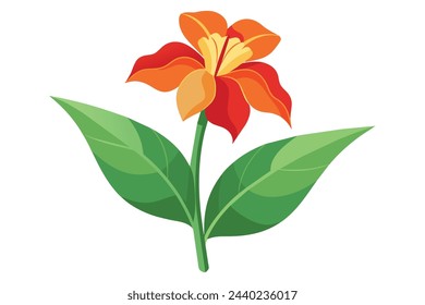 Ilustración plana del vector de la flor del canna sobre fondo blanco