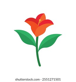 
Canna Lily flower isolated flat vector illustration on white background