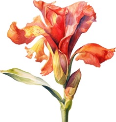 Canna Lily Watercolor Illustration. Hand Drawn Underwater Element Design. Artistic Vector Marine Design Element. Illustration For Greeting Cards, Printing And Other Design Projects.