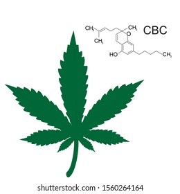 Cannabichromene or CBC illustration in Vector format with Cannabis Leaf