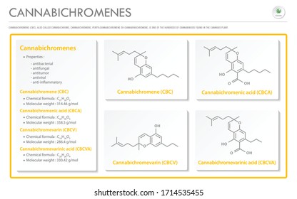 Cannabichromene CBC mit Strukturformeln in Cannabis, horizontales Geschäftsfeld, Infografik über Cannabis als pflanzliche Alternativmedizin und Chemietherapie, Gesundheitswesen und wissenschaftliche Vektorillustration.