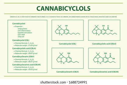 Cannabicyclol CBL with Structural Formulas in Cannabis horizontal infographic illustration about cannabis as herbal alternative medicine and chemical therapy, healthcare and medical science vector.
