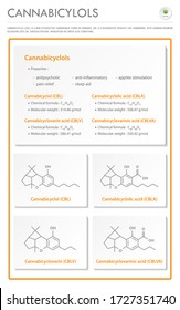 Cannabicyclol CBL with Structural Formulas in Cannabis vertical business infographic illustration about cannabis as herbal alternative medicine and chemical therapy, healthcare medical science vector.