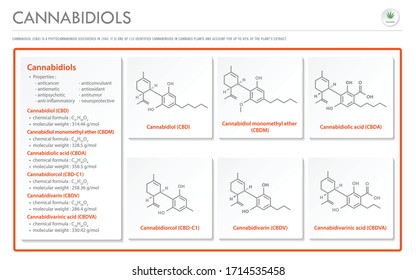 Cannabidiol CBD with Structural Formulas in Cannabis horizontal business infographic illustration about cannabis as herbal alternative medicine and chemical therapy, healthcare medical science vector.