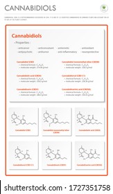 Cannabidiol CBD with Structural Formulas in Cannabis vertical business infographic illustration about cannabis as herbal alternative medicine and chemical therapy, healthcare medical science vector.