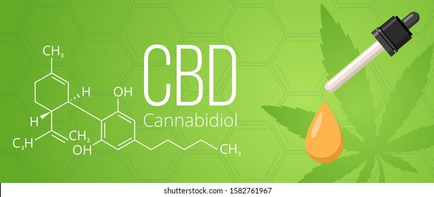 Cannabidiol design banner template. CBD cannabis formula, CBD hemp oil.