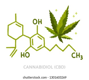Cannabidiol structural formula and marijuana leaf. Related to health, research, pharma, legality topics. Vector illustration.