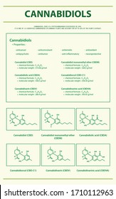 Cannabidiols CBD with Structural Formulas in Cannabis vertical infographic illustration about cannabis as herbal alternative medicine and chemical therapy, healthcare and medical science vector.