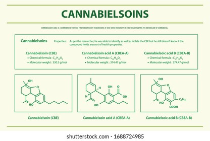 CBE de cannabis con Fórmulas Estructurales en la ilustración infográfica horizontal de cannabis como medicina alternativa herbaria y terapia química, salud y vector de ciencias médicas.