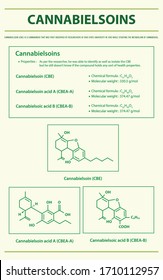 Cannabielsoin CBE mit Strukturformeln in Cannabis, vertikale Infografik über Cannabis als pflanzliche Alternativmedizin und Chemietherapie, Gesundheitswesen und medizinische Vektorillustration.