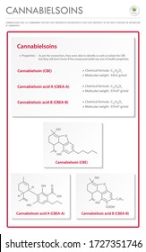 Cannabielsoin CBE with Structural Formulas in Cannabis vertical business infographic illustration about cannabis as herbal alternative medicine and chemical therapy, healthcare medical science vector.