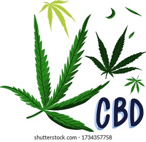 Cannabine Leaf Vector Flat Illustration for CBD Cannabidiol Cannabis Products.