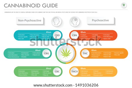 Cannabinoid Guide horizontal business infographic illustration about cannabis as herbal alternative medicine and chemical therapy, healthcare and medical science vector.