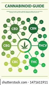 Cannabinoid Guide horizontal infographic illustration about cannabis as herbal alternative medicine and chemical therapy, healthcare and medical science vector.
