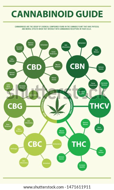 Cannabinoid Guide Horizontal Infographic Illustration About Cannabis As ...