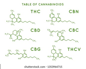 Cannabinoid structure. Cannabidiol molecular structures, THC and CBD formula. Marijuana or cannabis molecules, cannabidiol biochemistry medicinal structuring vector illustration