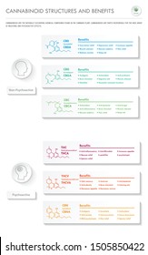 Cannabinoid Structures and Benefits vertical business infographic illustration about cannabis as herbal alternative medicine and chemical therapy, healthcare and medical science vector.