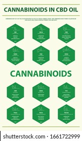 Cannabinoids in CBD Oil with Structural Formulas vertical infographic illustration about cannabis as herbal alternative medicine and chemical therapy, healthcare and medical science vector.