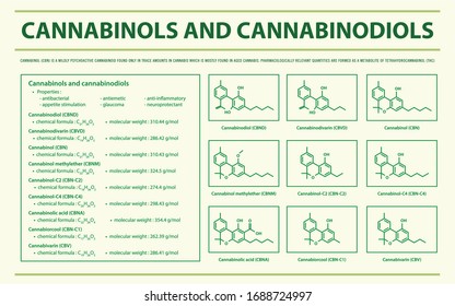 Cannabinol und Cannabinodiol CBN mit Strukturformeln in Cannabis, horizontale Infografik über Cannabis als pflanzliche Alternativmedizin und Chemietherapie, Vektorillustration im Gesundheitswesen.