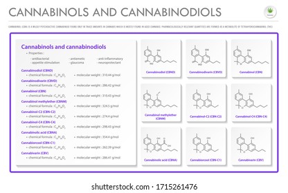 Cannabinol and Cannabinodiol CBN with Structural Formulas in Cannabis horizontal business infographic illustration about cannabis as herbal alternative medicine and chemical therapy, healthcare vector
