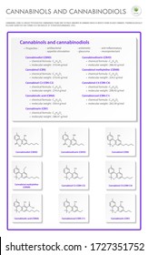 Cannabinol and Cannabinodiol CBN with Structural Formulas in Cannabis vertical business infographic illustration about cannabis as herbal alternative medicine and chemical therapy, healthcare vector.