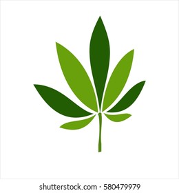 Cannabis